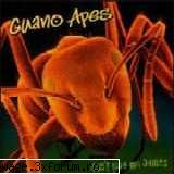 guano apes - don't give me names